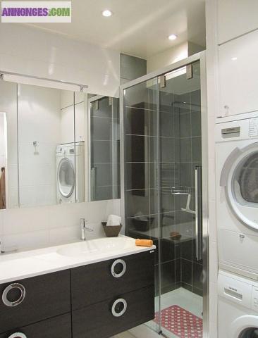 Magnifique 2 pièces refait à neuf