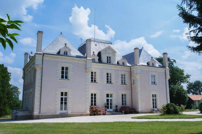 Beau château de 7 chambres dans les vignes, à 15mn de Nantes
