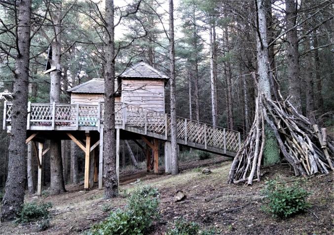 Cabane perchée dans un foret de cèdres