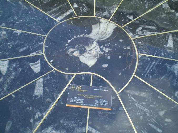 Table en marbre fossilisé