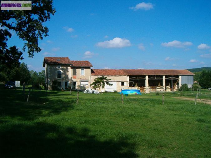 Ferme équestre