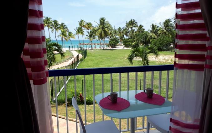 Hibiscus face à la mer