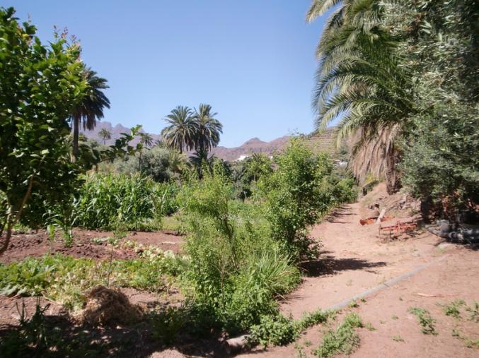 Terrains pas cher en Espagne