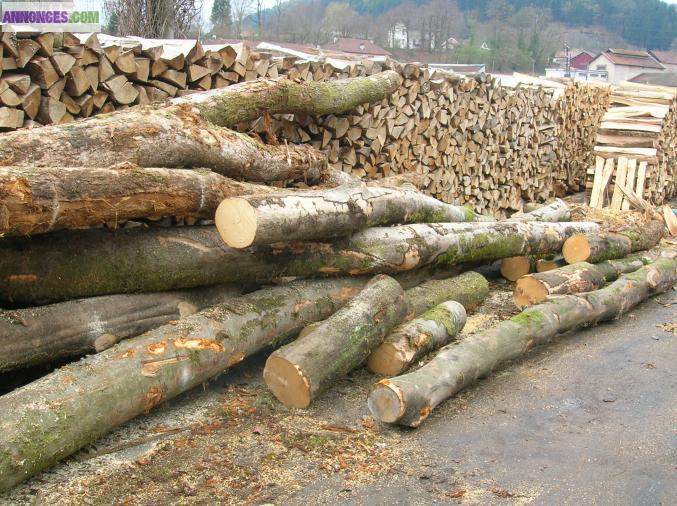 Bois de chauffage 100% hetre