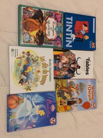 Vente de livre enfant.