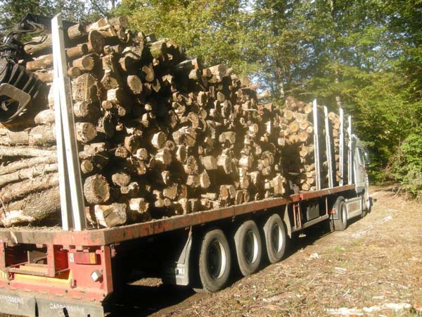SPÉCIAL PROMO DE BOIS DE CHAUFFAGE