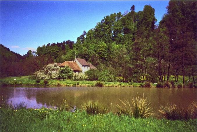 Location étang de pêche