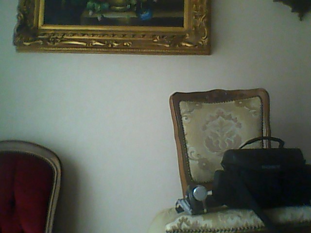 CAMESCOPE SONY DVD HAYDECAM