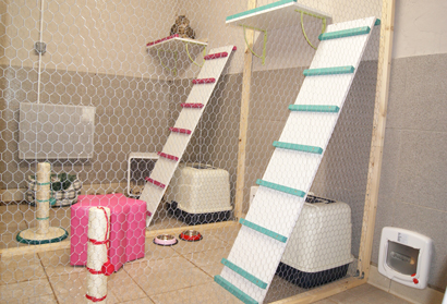 Pension pour chats en haute-vienne limousin 87