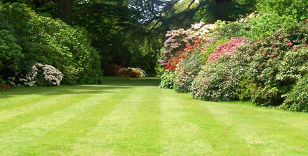 Entretien de jardin en cesu