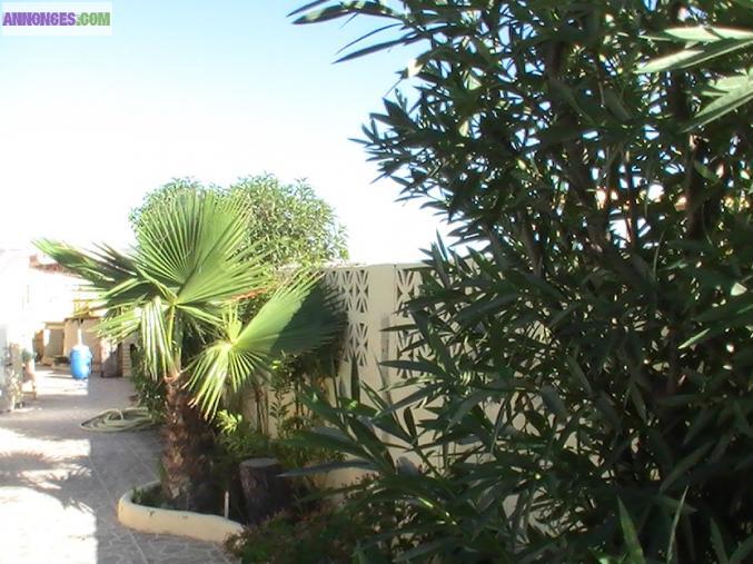 Loue appart studio dans villa face a la mer espagne almenara 12590