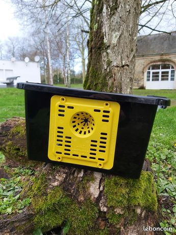 Piège frelon asiatique