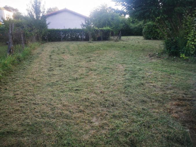 SITUATION EXCEPTIONNELLE