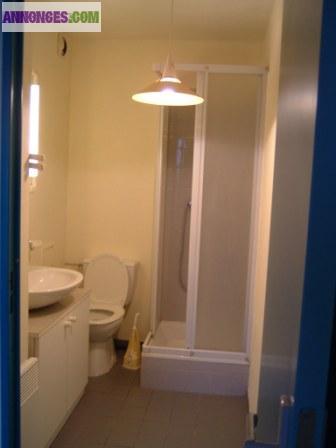 Loue à Mulhouse, T1 meublé de 20m2 plus 4m2 de terrasse