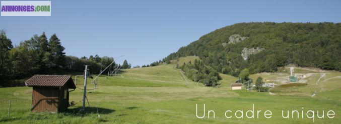 BUSSANG-A VENDRE 6 PARCELLES DE TERRAIN A BATIR VIABILISEES