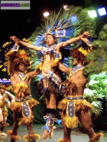 Costumes De Scène Brésilien "indien"