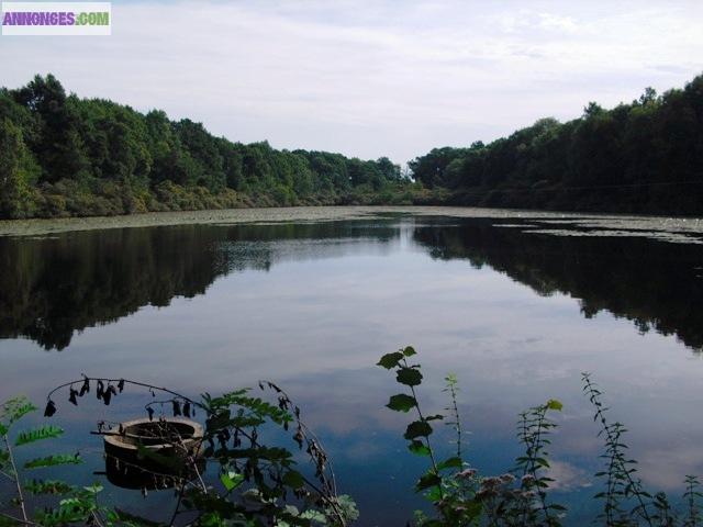 Etang et bois dans campagne bourbonnaise pour chasse-pêche & détente