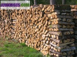 Bois de chauffages bien sec à l'hiver
