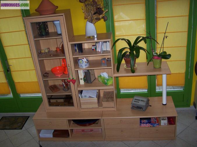 Meuble salle/salon