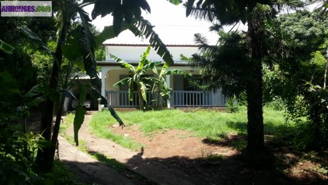 BEAU F5/6 DE 120 M² ENVIRON SUR 800 M²