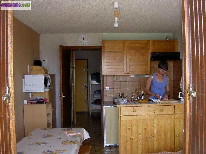 Studio 24 M2 à 05500 Laye en Champsaur