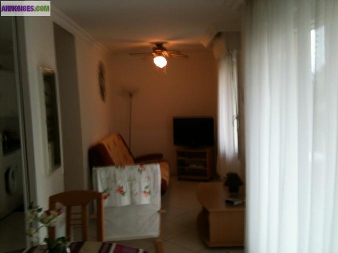 Apt tout neuf avec accenceur