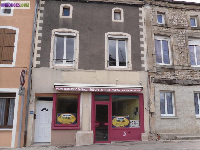 Gondrecourt le chateau Immeuble 165 m2 2 niveaux