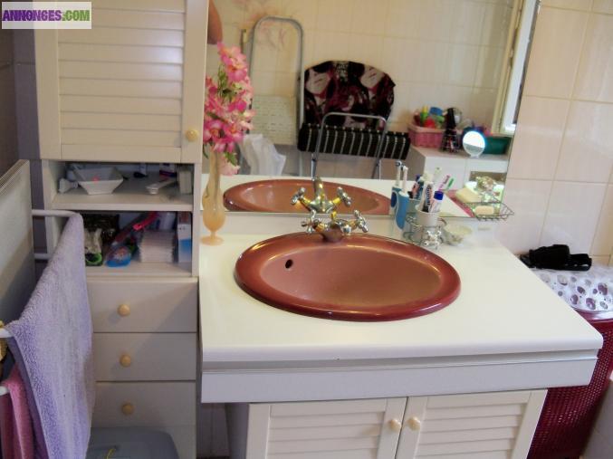 Meuble salle de bain