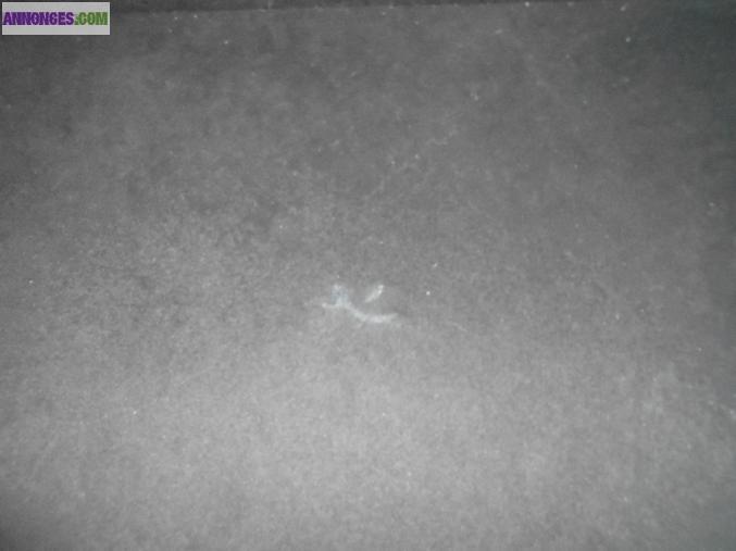 Canapé lit JAMAIKA Velours Noir/Gris