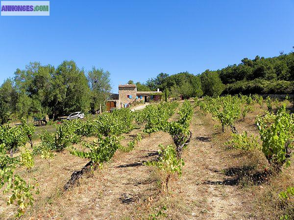 Vente authentique Bastidon dans le Luberon