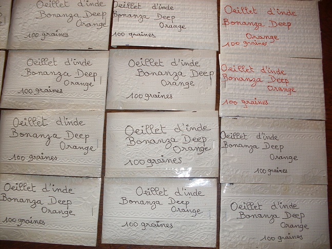 Divers graines de fleurs et autre