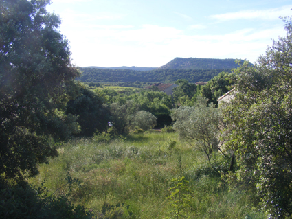 Terrain constructible