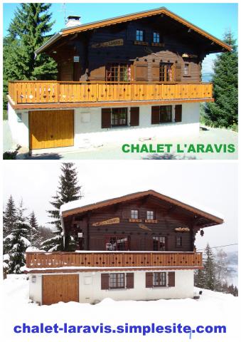 PETIT PRIX CHALET FAMILIAL CONVIVIAL VUE MONT BLANC
