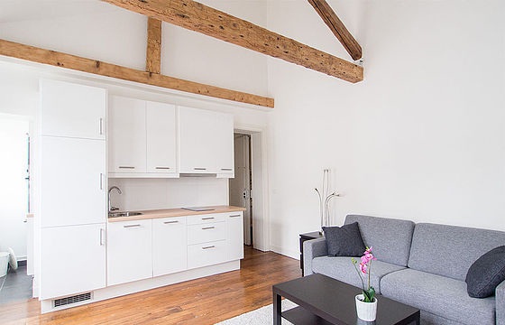 Appartement 1 pièce avec ascenseur dans le Marais