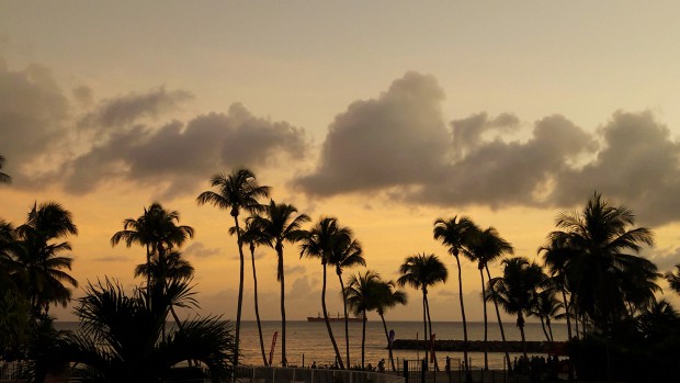 Hibiscus face à la mer
