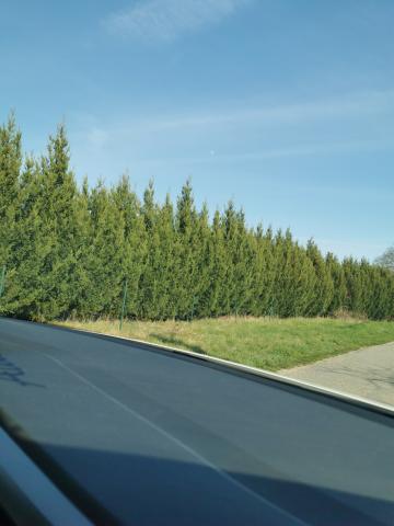 Vends terrain à bâtir