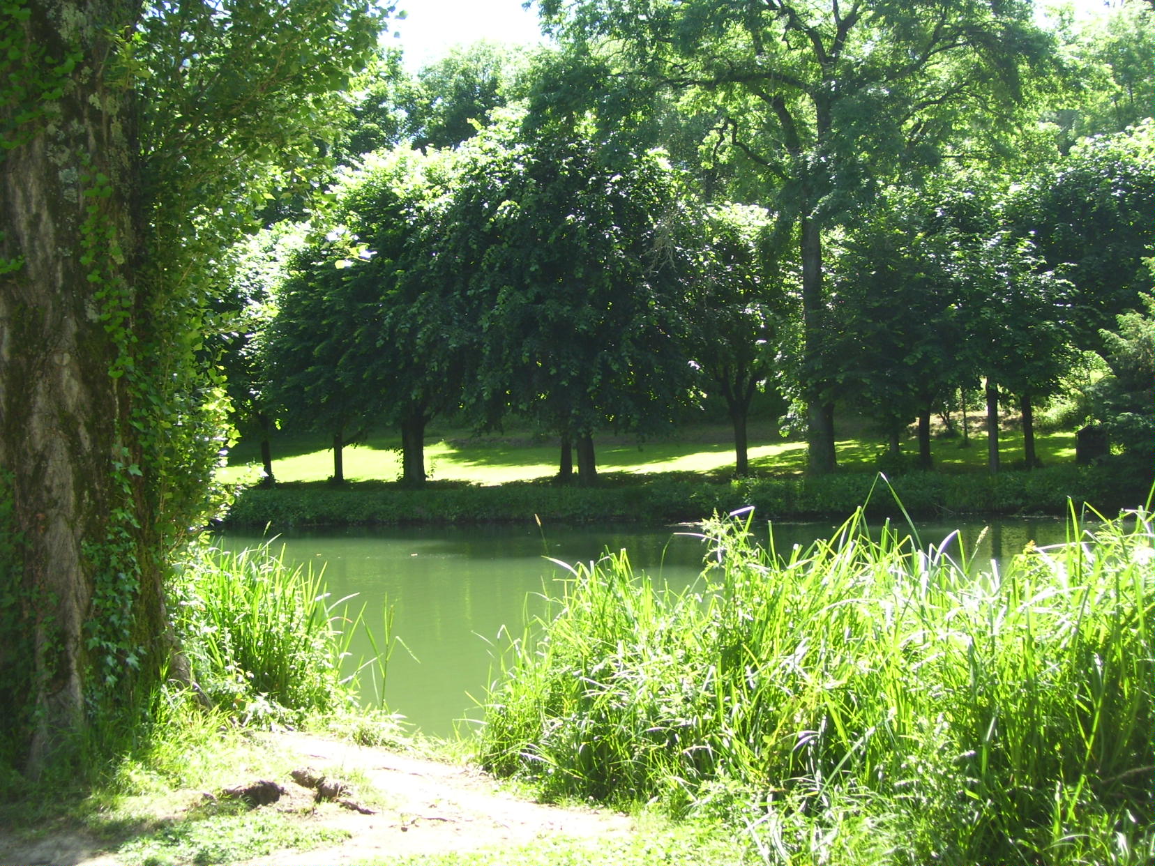 Maisonnette de pècheur