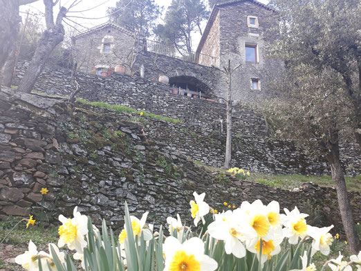 Location de vacance en cevenne