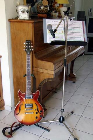 COURS DE GUITARE+CHANT