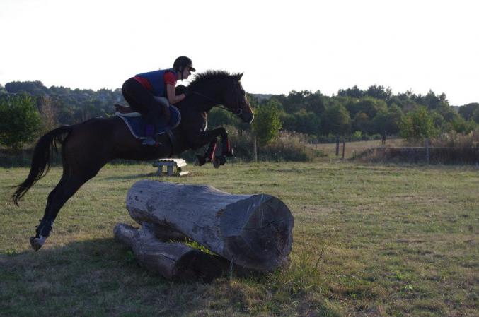 Quinjar, jument SF 11 ans