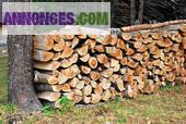 Bois dde chauffage