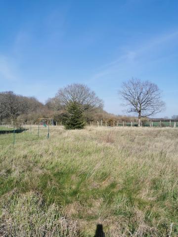 Vends terrain à bâtir