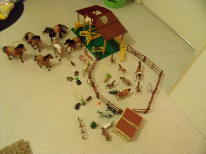 Haras, centre équestre BONNE AFFAIRE !