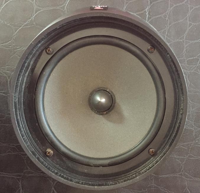 Hauts parleurs focal Intégration ISS 165