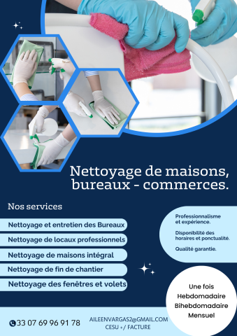 Femme de Mènage Pro