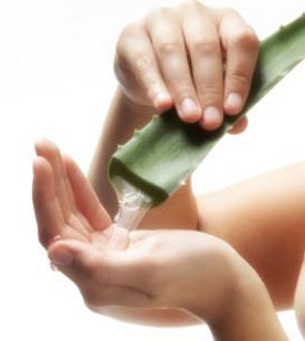 Recherche commercial produits aloe vera