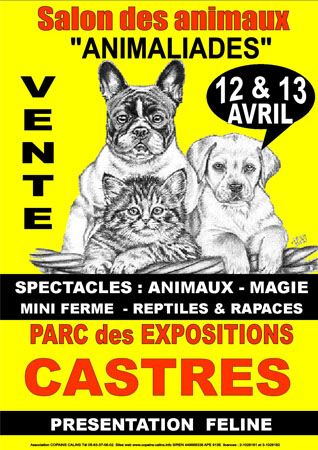 Salon chiot animalier castres 11/12 avril