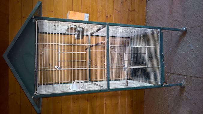 Cage voliere