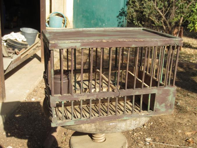 Offre cage pour grives