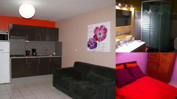 Appartement T2 entièrement rénové